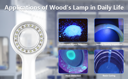 Discover the Best Dermatoscope with Wood's Lamp for Optimal Skin Analysis - IBOOLO DERMATOSCOPE